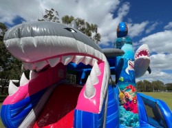 3D20shark20jumping20castle20slide20 1719297547 3D Shark Bite Combo Jumping Castle