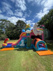 3d20llama20jumping20castle20hire 1 1718660116 3D Leaping Llama Combo Jumping Castle