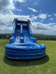 dolphin splash waterslide 2 1719034042 Dolphin Splash Waterslide