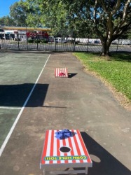 Carnival Corn Hole