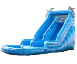 Dolphin Splash Waterslide