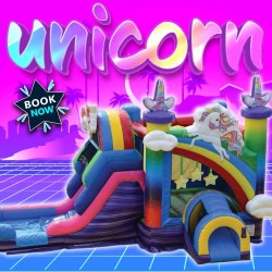3D Rainbow Unicorn Combo Jumping Castle