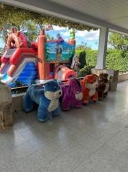ride20on20animals20back20yard20party 1745637679 Ride on Animals (5+)