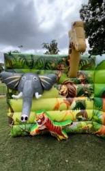 3D20Safari20Animal20Selfie20wall20brisbane 1747091901 3D Safari Animals Photo Wall