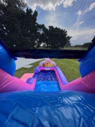 3D20Princess20jumping20castle20hire20padded20slide 175512804 1 3D Princess Combo